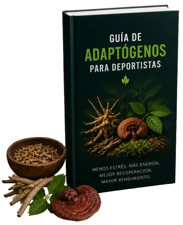 Mockup guía